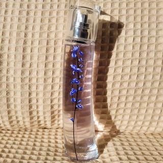 Flower Ikebana Indigo by Kenzo - Kenzo