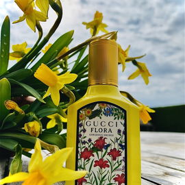 Aqua Gold - Montale