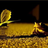 7.5 ml Flakon Parfum     ID Nr. MJ1K (by Violaodorata)