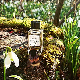 Jersey (Eau de Parfum) - Chanel