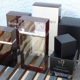 YSL M7 Family