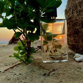 Strandidylle statt Party 😃🌞⛱ (by Theris)