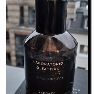 #Vanillesalamander blickt ins Licht#