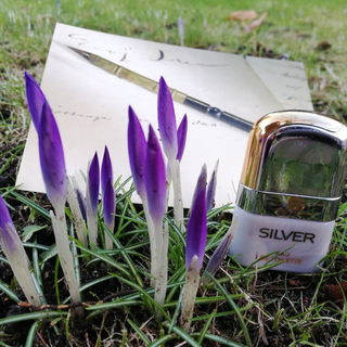 Silver (Eau de Toilette) - Aigner