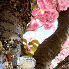 Essence Rare (1976) (Parfum) - Houbigant