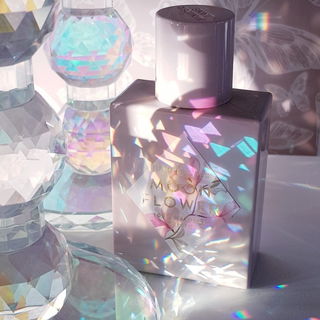 Moon Flower - Nature Blossom