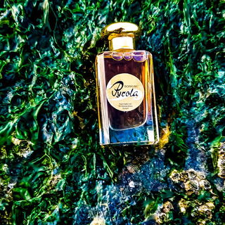 Moin von der Insel! Am Nordstrand