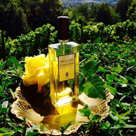 Sa majesté la rose - Serge Lutens