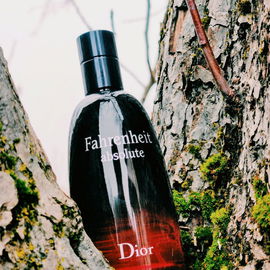 Fahrenheit Absolute - Dior