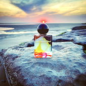 der Abend nach dem Morgen danach l (by Knopfnase)