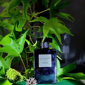 Im Amberbaum (von Camey5000)