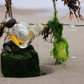 Cristallo wurde ein wenig mit Algen & Muscheln aufgetuned, ansonsten war alles so wie dargestellt. Lieben Dank für eure Aufmerksamkeit :) (by EveMist)