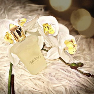 Casamorati - Dama Bianca (Eau de Parfum) von Xerjoff