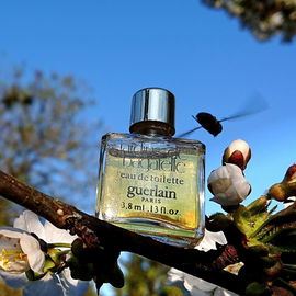 Jardins de Bagatelle (Eau de Toilette) - Guerlain