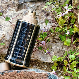 The Scent Magnetic for Him - Hugo Boss
