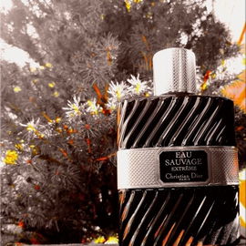 Eau Sauvage Extrême (2010) - Dior