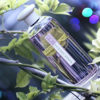 Nuage Cerisier von Kenzo