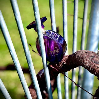 Far Away Rebel von Avon