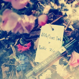 Über den Blüten der Sepiarauch...