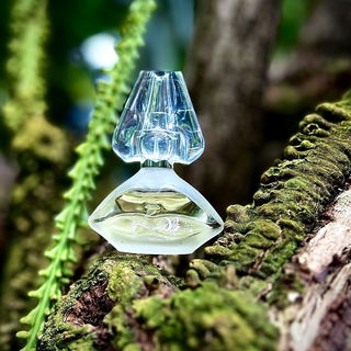 …📷🌍 Thank you. Danke schön. Merci beaucoup. Muchas gracias. Dōmo arigatō gozaimasu 💐…