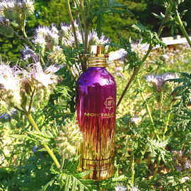 Sensual Instinct - Montale