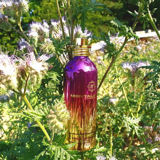 Sensual Instinct - Montale