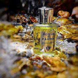 Colonia Assoluta - Acqua di Parma