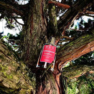 Labdanum Symphony - Duftanker MGO Duftmanufaktur