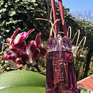 Alien (Eau de Parfum) von Mugler