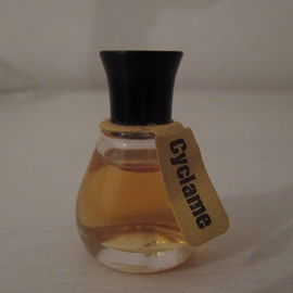 Cyclame - Diggers Garden