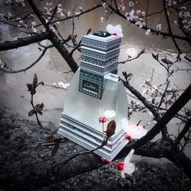 Rakaan (Eau de Parfum) - Swiss Arabian