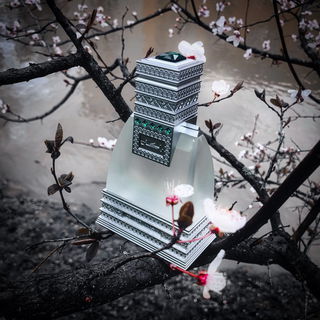 Allure Homme (Eau de Toilette) - Chanel