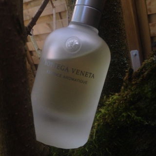 Bottega Veneta Essence Aromatique von Bottega Veneta