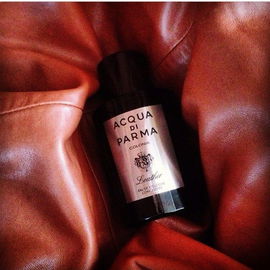 Original Santal - Creed
