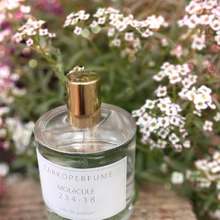 Molécule 234·38 von Zarkoperfume