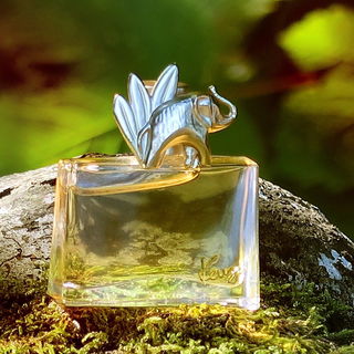Kenzo Jungle / Jungle L'Éléphant - Kenzo