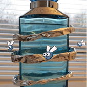 Die Micro-Aliens aus dem FotoKunst-Blog ;-)) (von Fresh21)