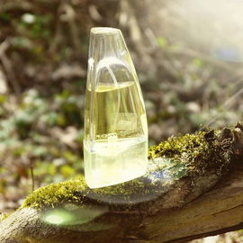 New Experience Man (Eau de Toilette) - Tom Tailor