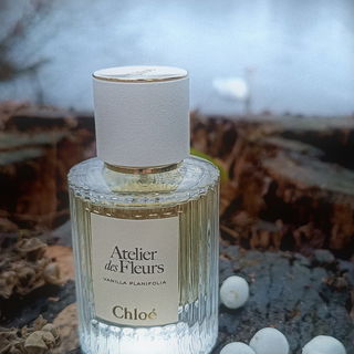 Vanilla Planifolia von Chloé