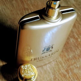 Amber Oud - Trussardi