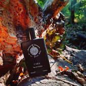 Jurassic - Park, gleich kommen die Dinos um die Ecke. (von Gandix)