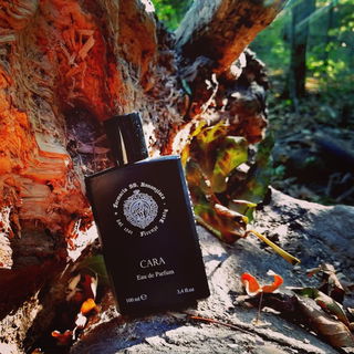 Jurassic - Park, gleich kommen die Dinos um die Ecke.