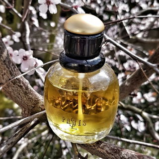 Paris (Eau de Parfum) - Yves Saint Laurent