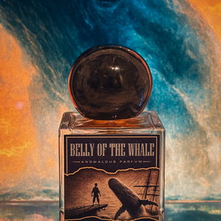 Endlich ist der Australier da 🌊🐋