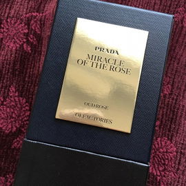 Miracle of the Rose - Prada