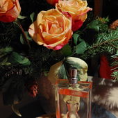 🌹  Des roses pour ma DAME 🌹 (von JoliParis)