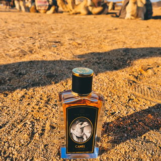 Wüsten Safari