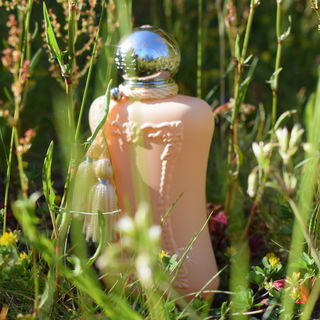 Cassili - Parfums de Marly