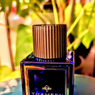 Regent Leather von Thameen