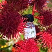 Vielen Dank für's Anschauen - ich freu mich ! (by Toppine)